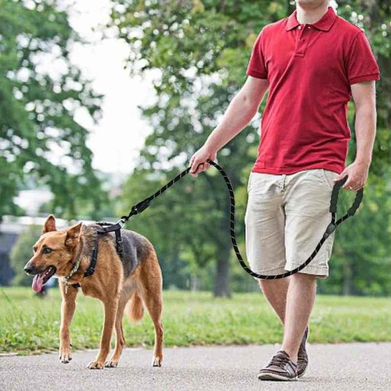 Heavy Duty Nylon Dog Leash - Padded Handle - 5ft