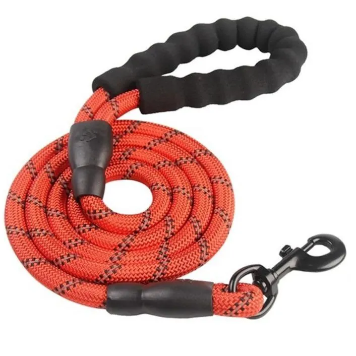 Heavy Duty Nylon Dog Leash - Padded Handle - 5ft