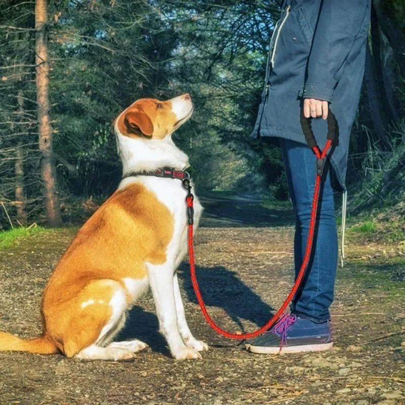 Heavy Duty Nylon Dog Leash - Padded Handle - 5ft
