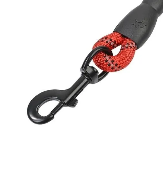 Heavy Duty Nylon Dog Leash - Padded Handle - 5ft