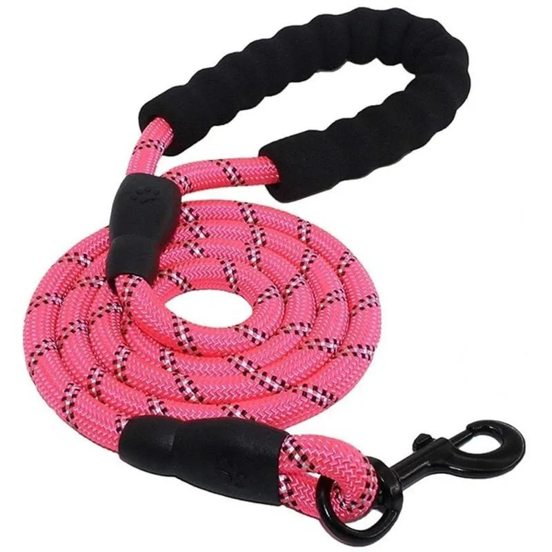 Heavy Duty Nylon Dog Leash - Padded Handle - 5ft