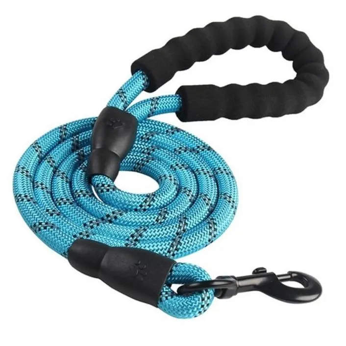 Heavy Duty Nylon Dog Leash - Padded Handle - 5ft