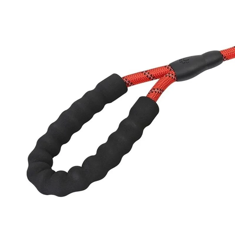 Heavy Duty Nylon Dog Leash - Padded Handle - 5ft