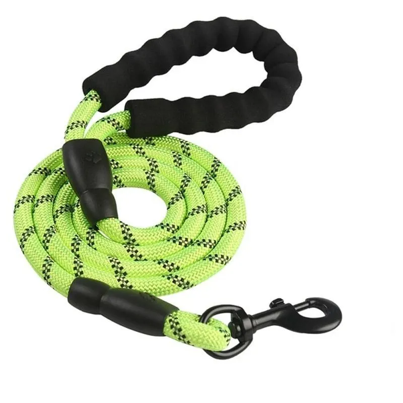 Heavy Duty Nylon Dog Leash - Padded Handle - 5ft