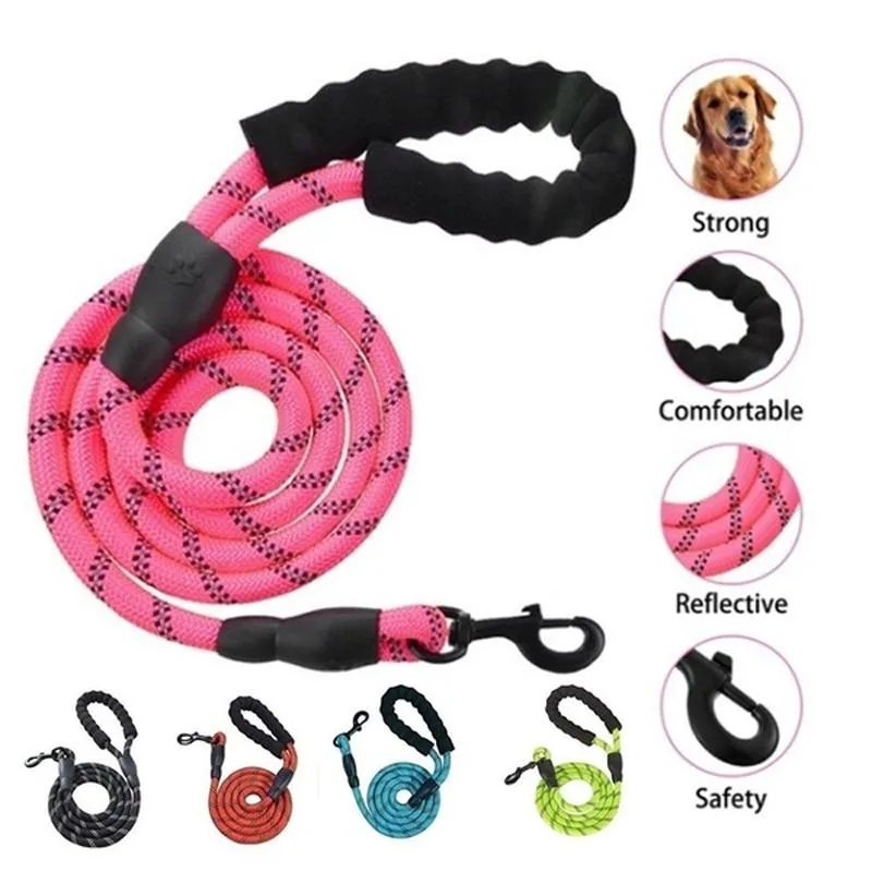 Heavy Duty Nylon Dog Leash - Padded Handle - 5ft